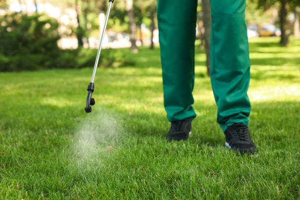 Best Pest Control for Restaurants  in Bellerose, NY