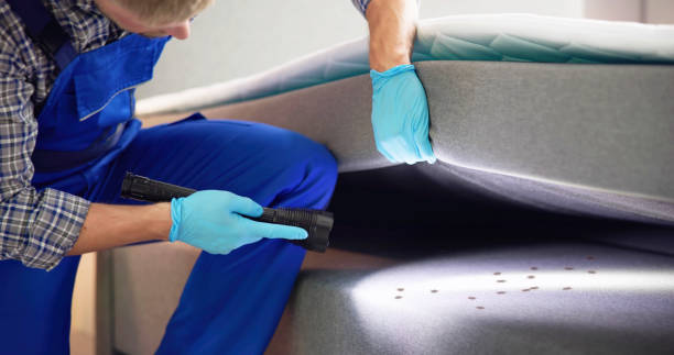 Best Best Pest Control Companies  in Bellerose, NY