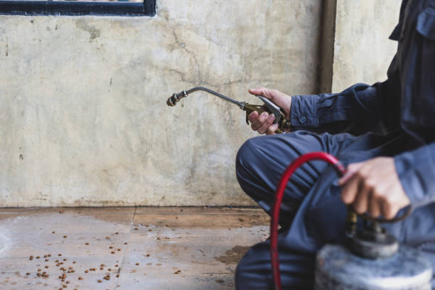 Best Best Pest Control Companies  in Bellerose, NY